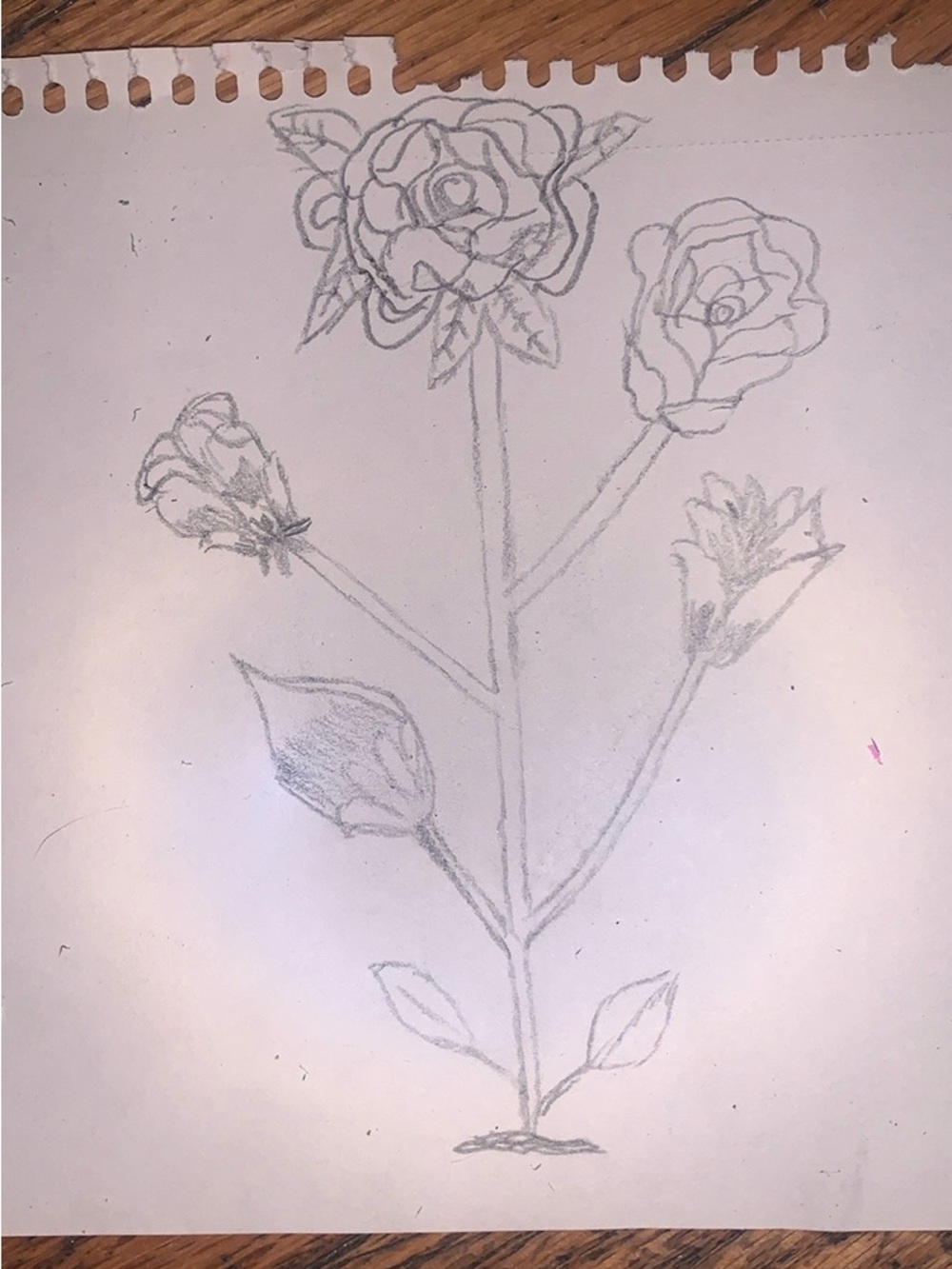 Custom art drawing all handmade - Picture 11 of 13